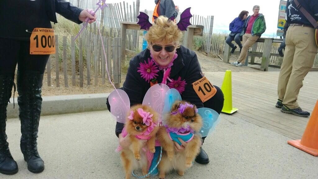 Fun with Poms — costumed Pomeranians at festive event