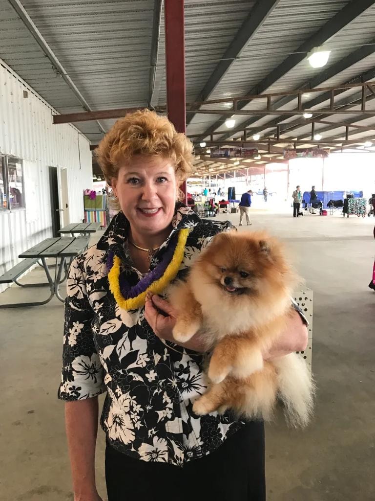 Handler holding Sheldon at dog show